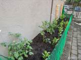14300 32nd Avenue - Photo 10