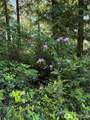 0 xx Azalea Lane - Photo 11