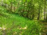 150 Sunnyside Road - Photo 17