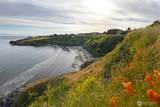 0 Lot 7 Eagle Cove Drive - Photo 11