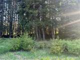 0 Beaver Lane - Photo 12