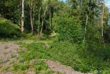 7099 Wilson Creek Road - Photo 13