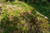 7099 Wilson Creek Road - Photo 34