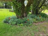 98 Wishkah - Photo 36