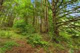 12835 Price Road - Photo 34