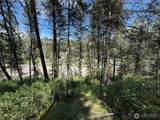21 Pine Grove Street - Photo 8
