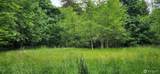 2536 Deer Park Road - Photo 2