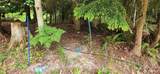 2536 Deer Park Road - Photo 5