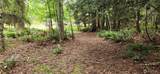 2536 Deer Park Road - Photo 6