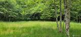 2536 Deer Park Road - Photo 4