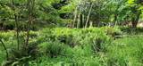 2536 Deer Park Road - Photo 6