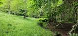 2536 Deer Park Road - Photo 8