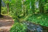 11202 Greystone Drive - Photo 9