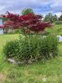 3105 59th Place - Photo 3