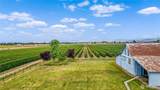 3084 Lindsay Road - Photo 26