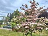 8224 Mullen Road - Photo 34