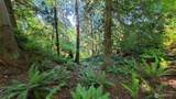 18661 Renton-Maple Valley Road - Photo 31