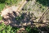 15000 320th Street - Photo 11