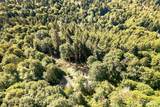 15000 320th Street - Photo 15