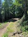 15000 320th Street - Photo 10
