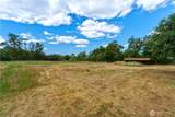 1724 Alder Street - Photo 6