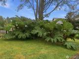 165 Narwhal Loop - Photo 37