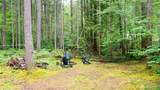 120 Kokanee Cove Way - Photo 9