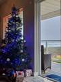 1600 Ocean Avenue - Photo 29