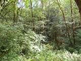 0 xxx Sylvan Way - Photo 15
