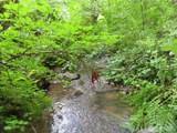 0 xxx Sylvan Way - Photo 5