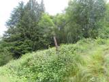 0 xxx Sylvan Way - Photo 9