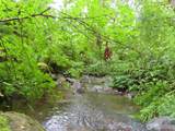 0 xxx Sylvan Way - Photo 10