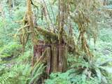 0 xxx Sylvan Way - Photo 8