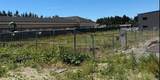 2003 Henson Road - Photo 1