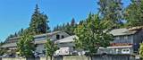 12708 Northup Way - Photo 1