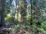 6790 Shelter Lane - Photo 24