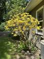 8833 Bothell Way - Photo 32