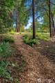 9426 266th Lane - Photo 7