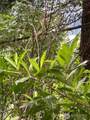 0 XXXX Beach Drive - Photo 11