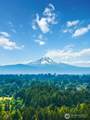 3911 114th Way - Photo 38