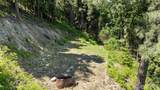 1208 Rodeo Road - Photo 3