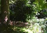 8855 Wood Duck Way - Photo 24