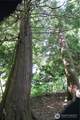 8855 Wood Duck Way - Photo 7