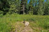 4635 Forest View Lane - Photo 4