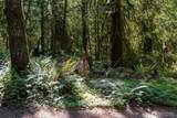 1781 Sunset Hill Road - Photo 3