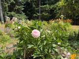 4098 Camano Drive - Photo 34