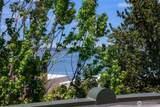 1201 11th Street - Photo 33