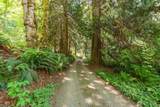 43 Mowitch Trail - Photo 35