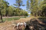 225 C Lost River Road - Photo 23