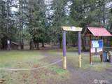 41819 Shore Drive - Photo 35